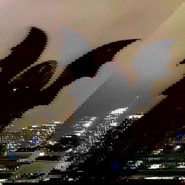 alskohope alskohope archive image