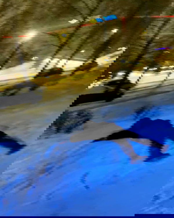 alskohope alskohope archive image