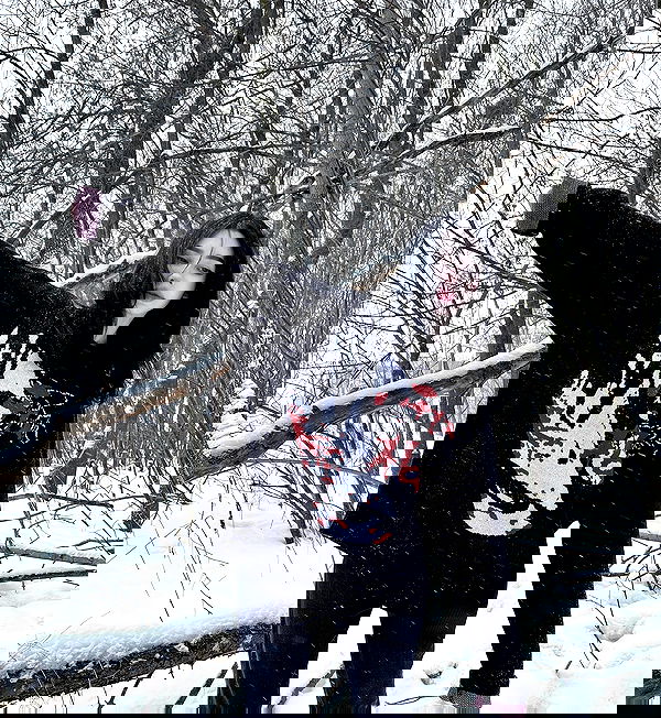 alskohope alskohope archive image