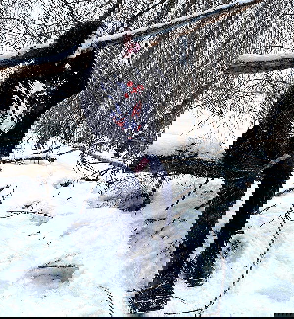 alskohope alskohope archive image