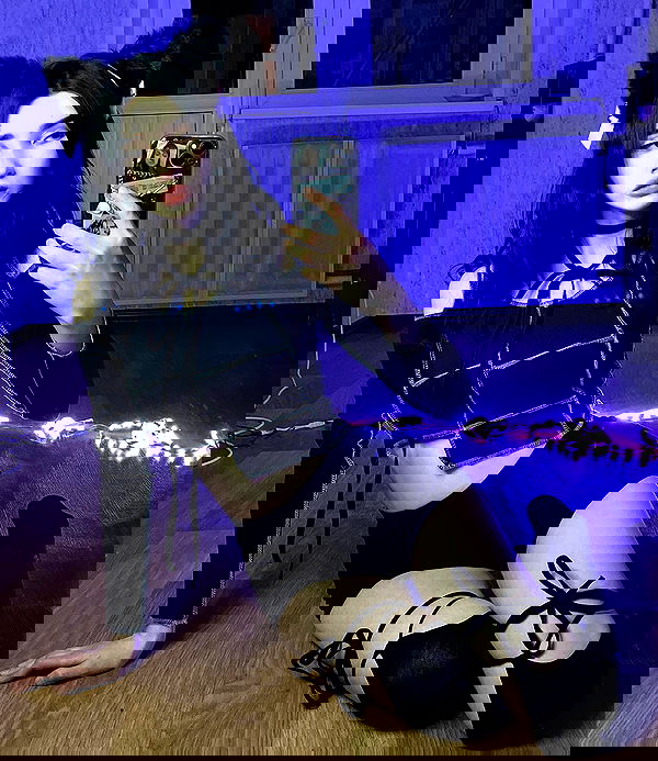 alskohope alskohope archive image