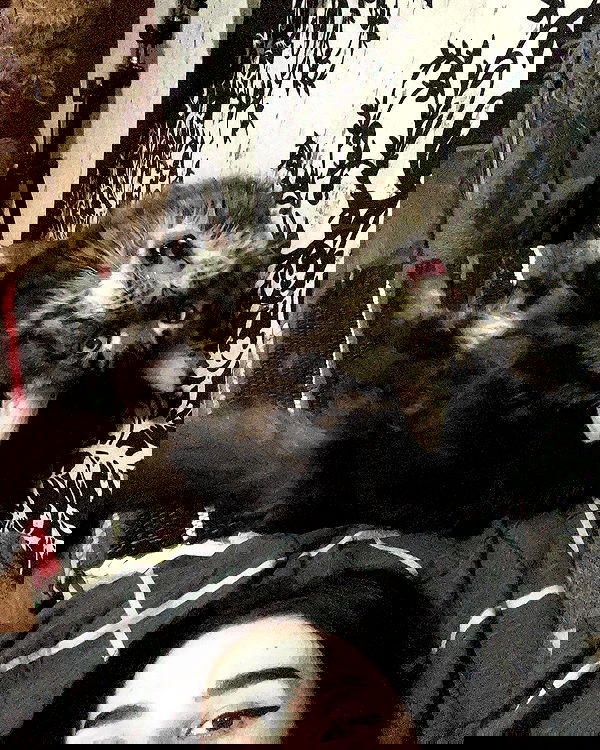 alskohope alskohope archive image