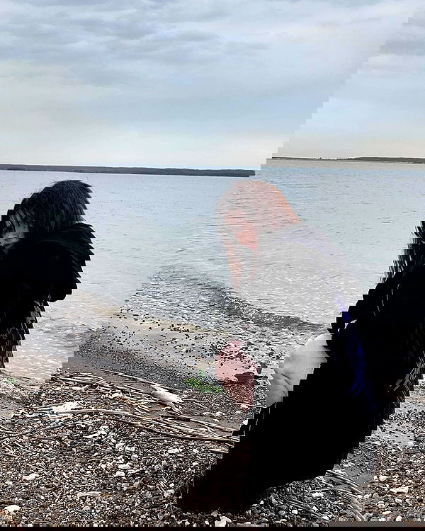 alskohope alskohope archive image