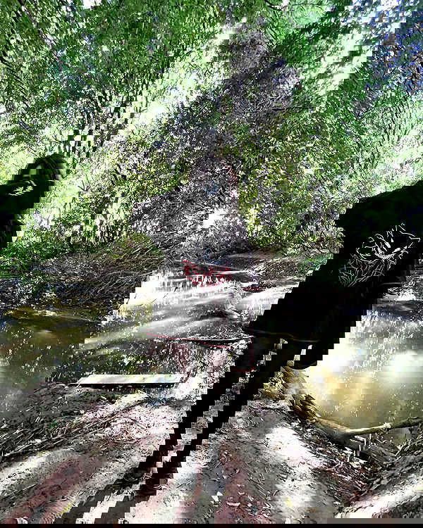 alskohope alskohope archive image