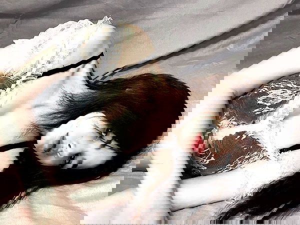 alskohope alskohope archive image