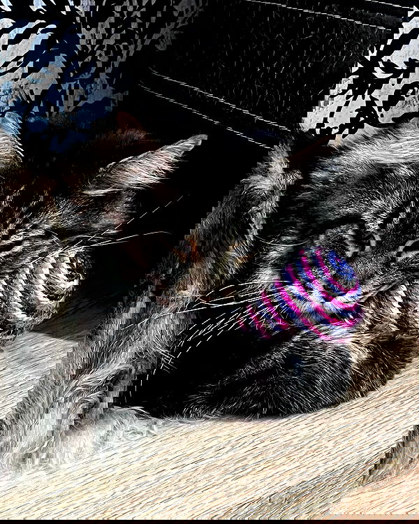 alskohope alskohope archive image