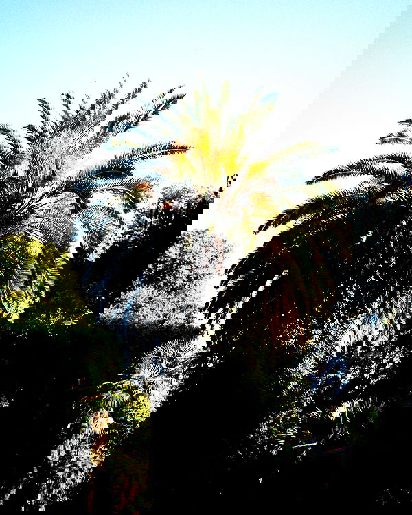 alskohope alskohope archive image