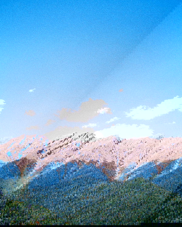 alskohope alskohope archive image