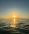 amanda_diaz_rojas Altpins Profile Picture