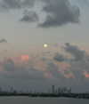 amanda_diaz_rojas Altpins Profile Picture