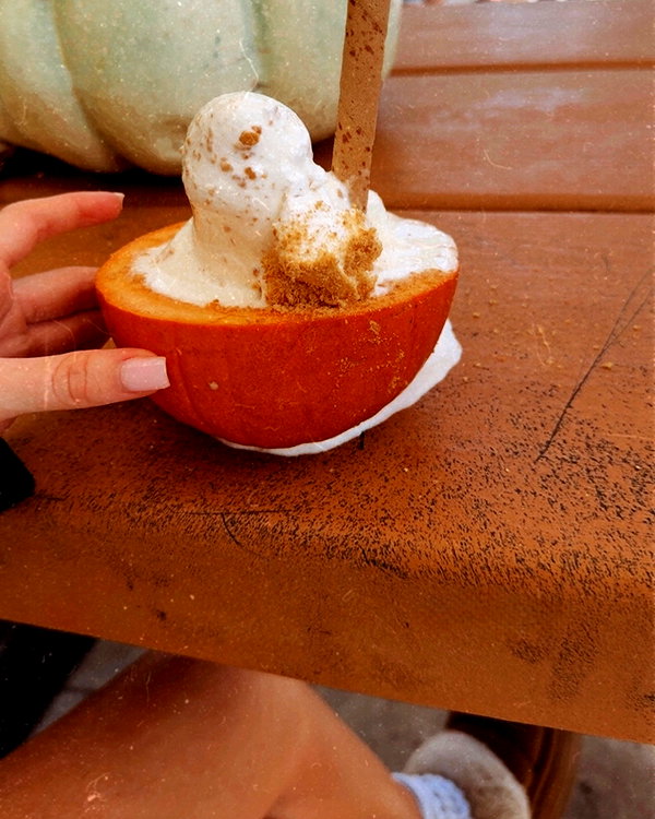 amandakabdebo instagram image archive image
