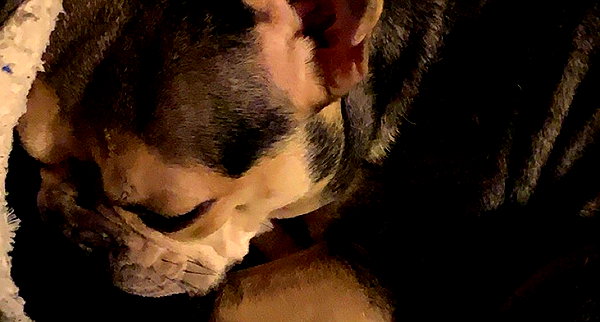 amber.oops instagram image archive image