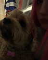 amber.oops Altpins Profile Picture
