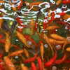 amber.oops Altpins Profile Picture