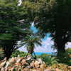 ambersela_ Altpins Profile Picture