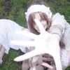 amituffknuckles Altpins Profile Picture