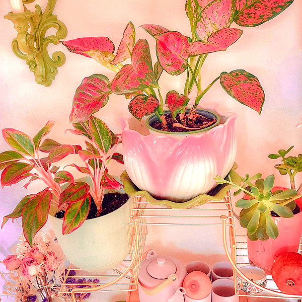 amylouisev instagram image archive image