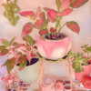 amylouisev Altpins Profile Picture