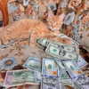 amylouisev Altpins Profile Picture