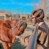 amylouisev Altpins Profile Picture