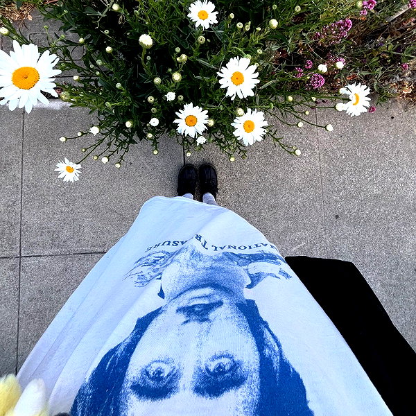 amylouisev instagram image archive image