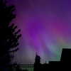 amylouisev Altpins Profile Picture