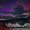 amylouisev Altpins Profile Picture
