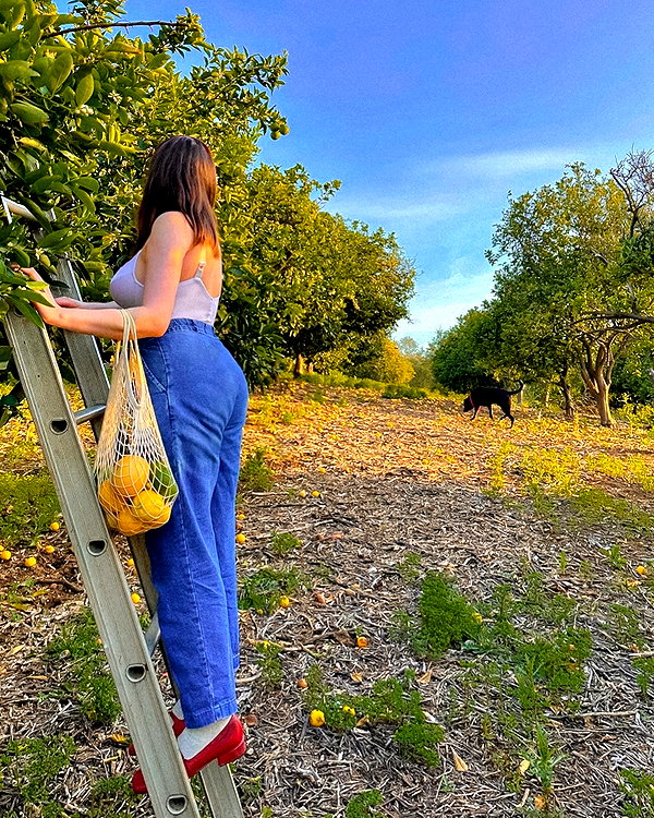 amylouisev instagram image archive image