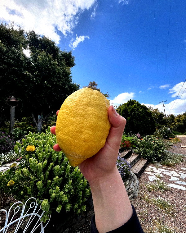 amylouisev instagram image archive image