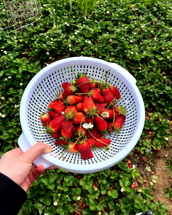 amylouisev instagram image archive image