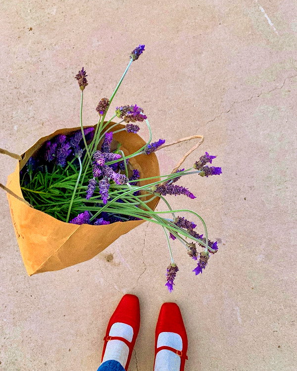 amylouisev instagram image archive image
