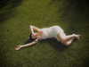 amylouisev Altpins Profile Picture