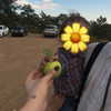 amylouisev Altpins Profile Picture