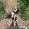amylouisev Altpins Profile Picture