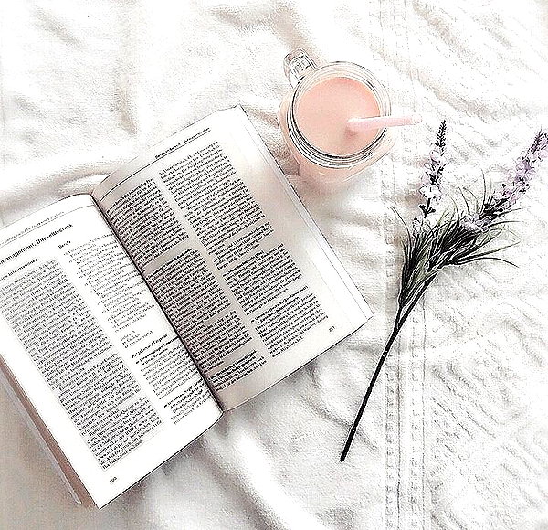 andasrose instagram image archive image