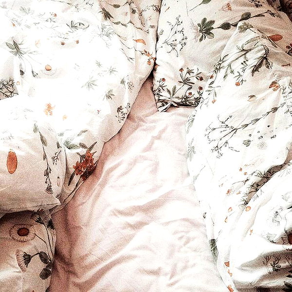 andasrose instagram image archive image