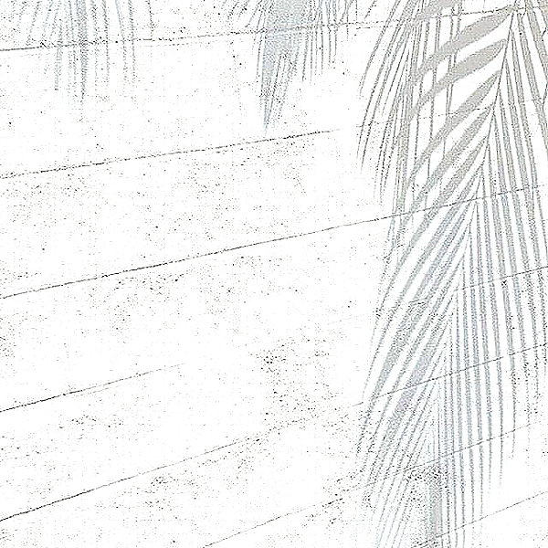 andasrose instagram image archive image
