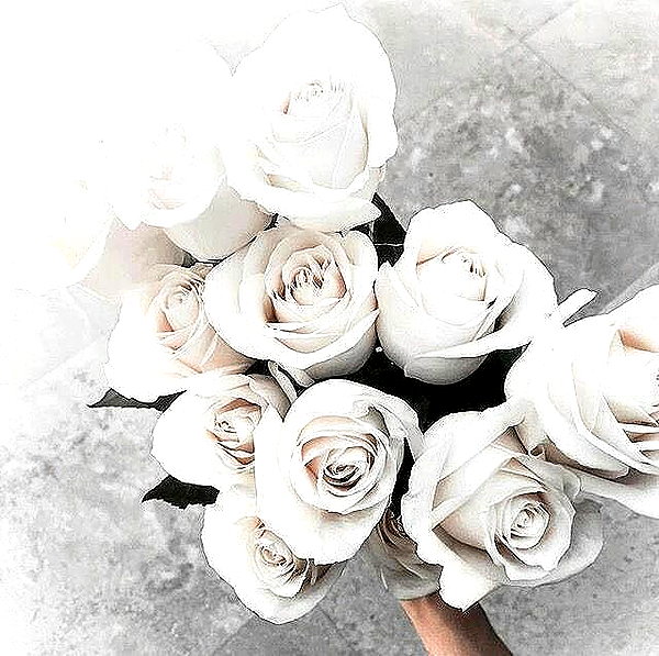 andasrose instagram image archive image