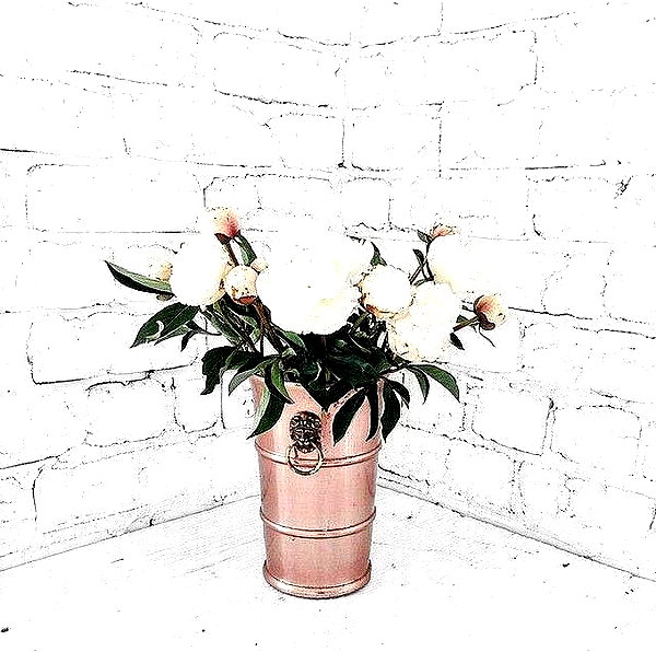 andasrose instagram image archive image