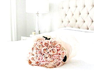 andasrose instagram image archive image