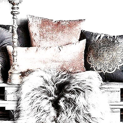 andasrose instagram image archive image