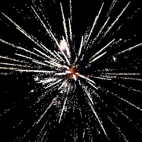 andasrose instagram image archive image