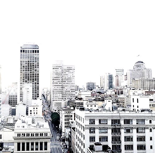 andasrose instagram image archive image