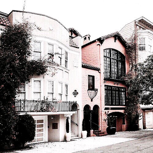 andasrose instagram image archive image