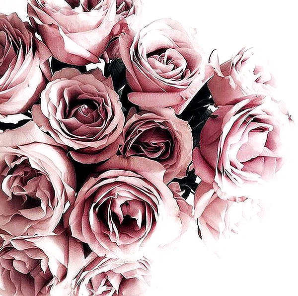 andasrose instagram image archive image