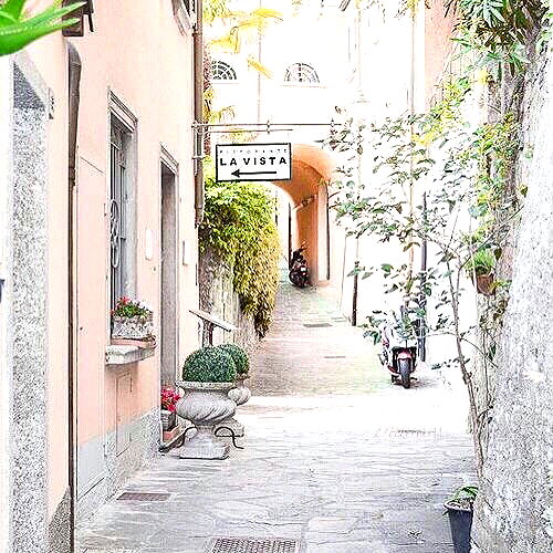 andasrose instagram image archive image