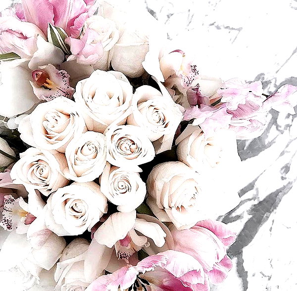andasrose instagram image archive image