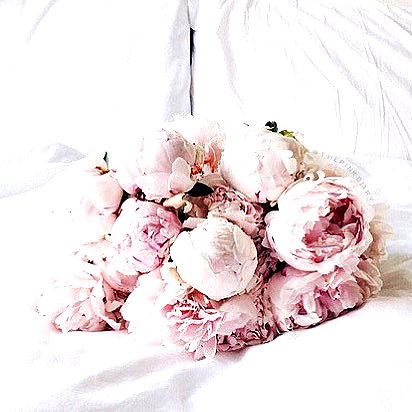andasrose instagram image archive image