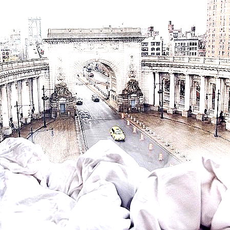 andasrose instagram image archive image