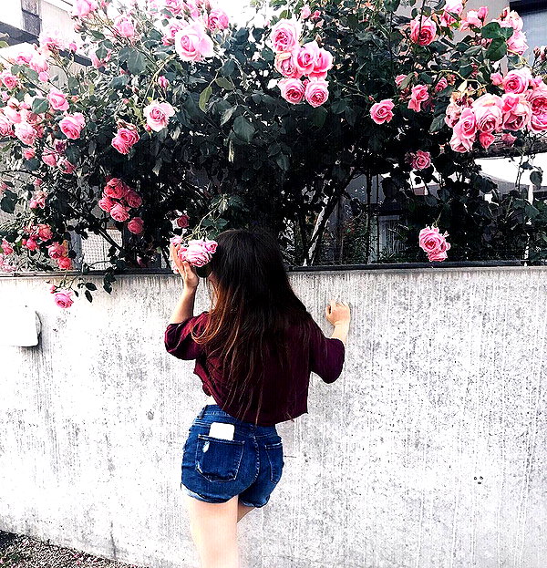 andasrose instagram image archive image